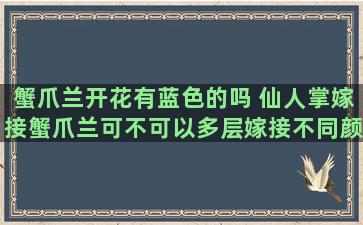 蟹爪兰开花有蓝色的吗 仙人掌嫁接蟹爪兰可不可以多层嫁接不同颜色